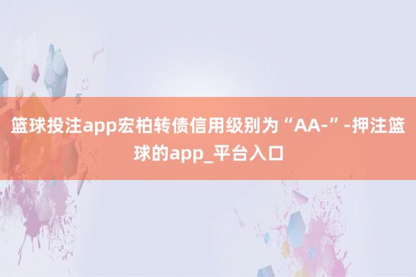 篮球投注app宏柏转债信用级别为“AA-”-押注篮球的app_平台入口