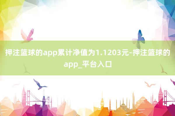 押注篮球的app累计净值为1.1203元-押注篮球的app_平台入口