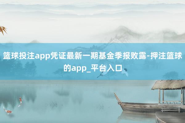 篮球投注app凭证最新一期基金季报败露-押注篮球的app_平台入口