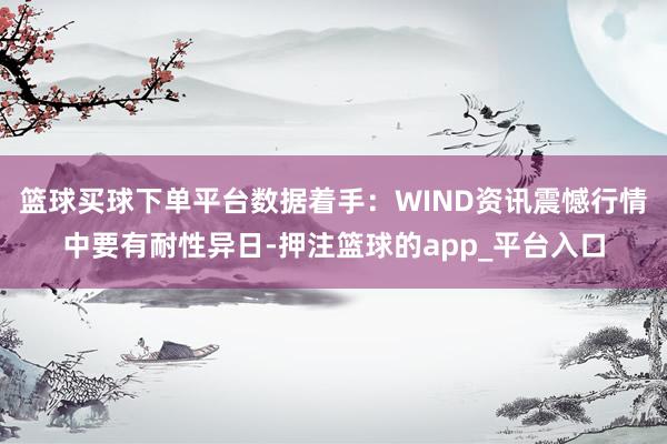 篮球买球下单平台数据着手：WIND资讯震憾行情中要有耐性异日-押注篮球的app_平台入口