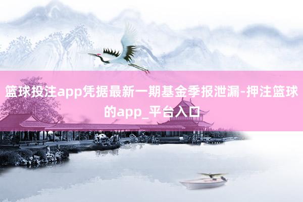 篮球投注app凭据最新一期基金季报泄漏-押注篮球的app_平台入口