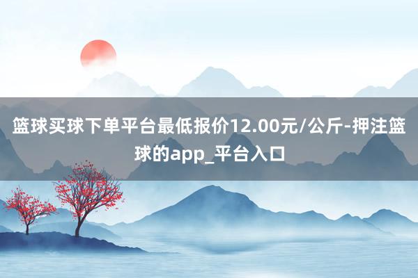 篮球买球下单平台最低报价12.00元/公斤-押注篮球的app_平台入口