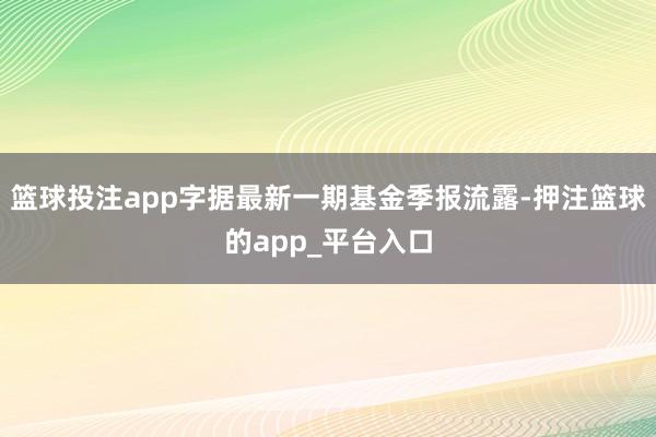 篮球投注app字据最新一期基金季报流露-押注篮球的app_平台入口