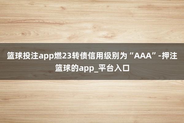 篮球投注app燃23转债信用级别为“AAA”-押注篮球的app_平台入口