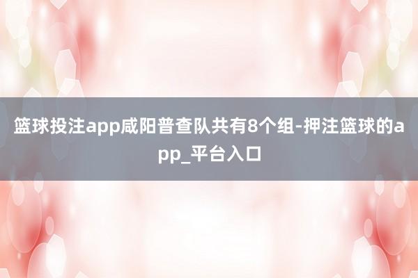 篮球投注app咸阳普查队共有8个组-押注篮球的app_平台入口