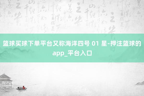 篮球买球下单平台又称海洋四号 01 星-押注篮球的app_平台入口