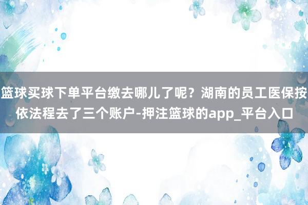 篮球买球下单平台缴去哪儿了呢？湖南的员工医保按依法程去了三个账户-押注篮球的app_平台入口