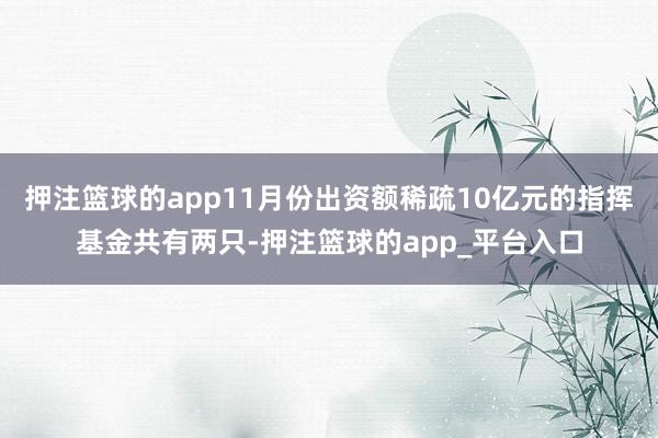 押注篮球的app11月份出资额稀疏10亿元的指挥基金共有两只-押注篮球的app_平台入口