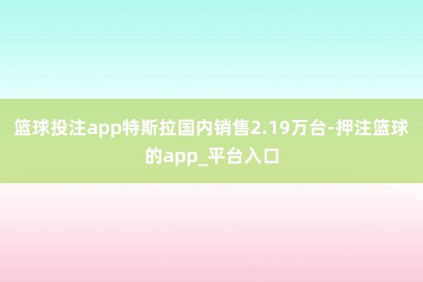 篮球投注app特斯拉国内销售2.19万台-押注篮球的app_平台入口