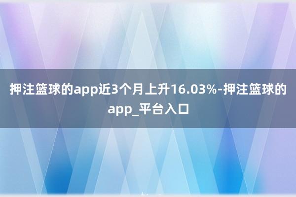 押注篮球的app近3个月上升16.03%-押注篮球的app_平台入口