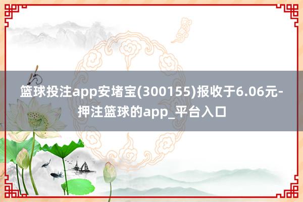 篮球投注app安堵宝(300155)报收于6.06元-押注篮球的app_平台入口