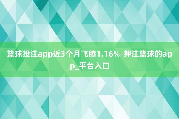 篮球投注app近3个月飞腾1.16%-押注篮球的app_平台入口