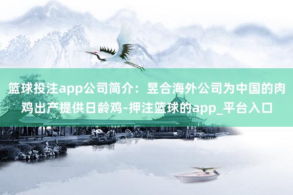 篮球投注app公司简介：昱合海外公司为中国的肉鸡出产提供日龄鸡-押注篮球的app_平台入口