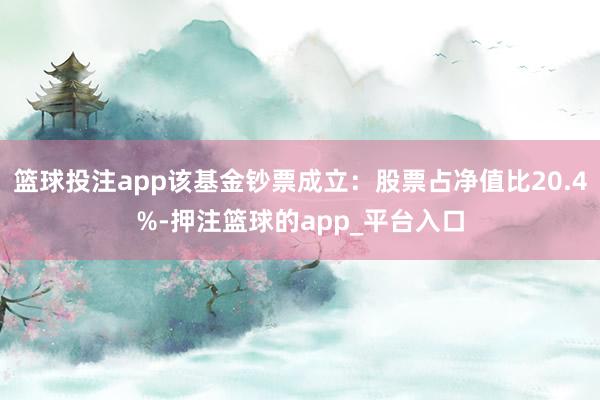 篮球投注app该基金钞票成立：股票占净值比20.4%-押注篮球的app_平台入口