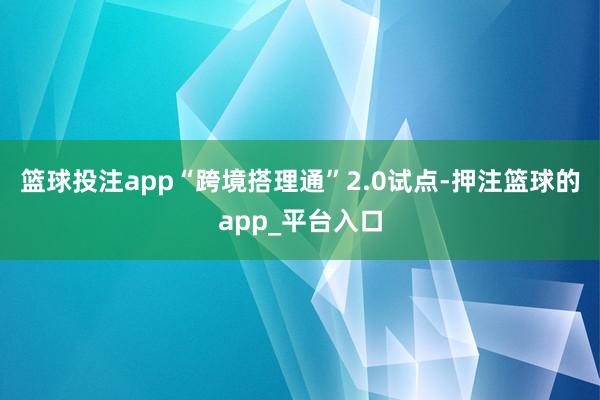 篮球投注app“跨境搭理通”2.0试点-押注篮球的app_平台入口