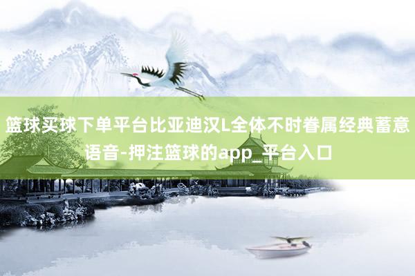 篮球买球下单平台比亚迪汉L全体不时眷属经典蓄意语音-押注篮球的app_平台入口