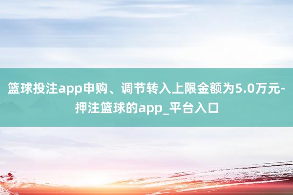 篮球投注app申购、调节转入上限金额为5.0万元-押注篮球的app_平台入口