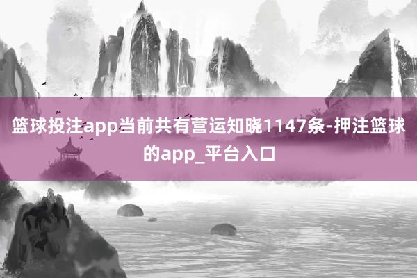 篮球投注app当前共有营运知晓1147条-押注篮球的app_平台入口