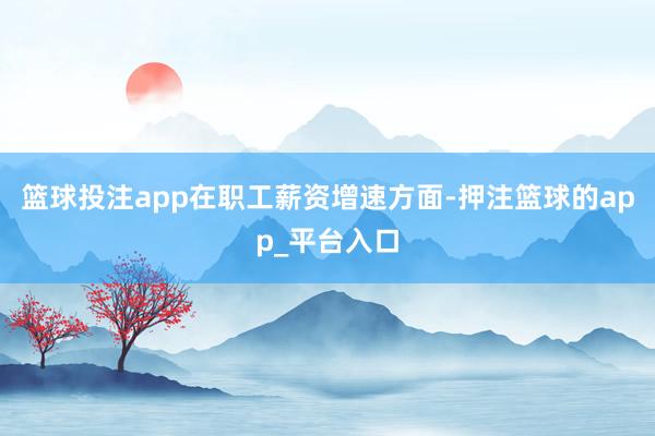 篮球投注app　　在职工薪资增速方面-押注篮球的app_平台入口