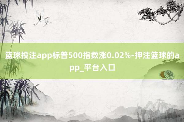 篮球投注app标普500指数涨0.02%-押注篮球的app_平台入口