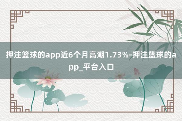 押注篮球的app近6个月高潮1.73%-押注篮球的app_平台入口