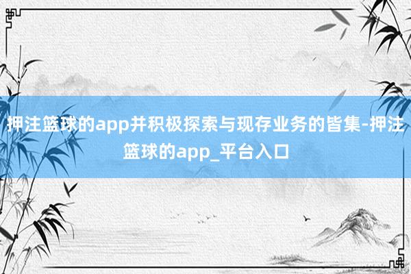 押注篮球的app并积极探索与现存业务的皆集-押注篮球的app_平台入口
