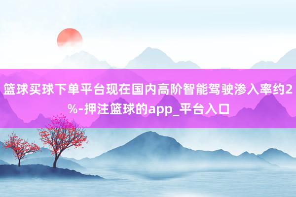 篮球买球下单平台现在国内高阶智能驾驶渗入率约2%-押注篮球的app_平台入口