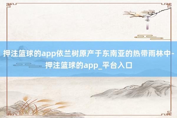 押注篮球的app依兰树原产于东南亚的热带雨林中-押注篮球的app_平台入口