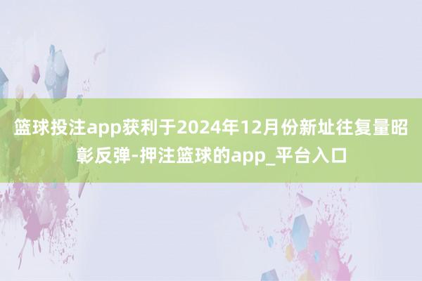 篮球投注app获利于2024年12月份新址往复量昭彰反弹-押