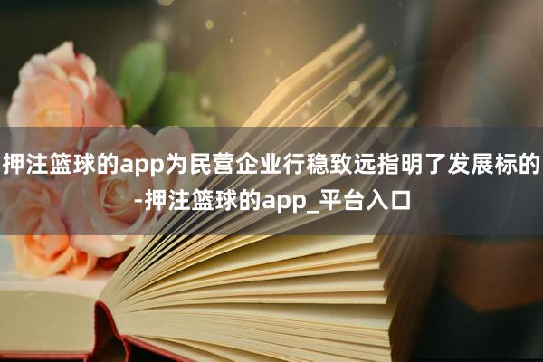 押注篮球的app为民营企业行稳致远指明了发展标的-押注篮球的