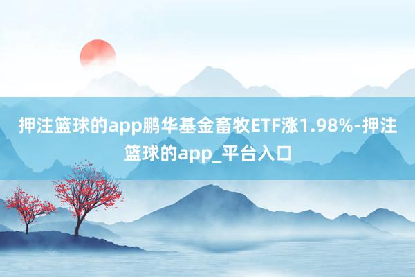 押注篮球的app鹏华基金畜牧ETF涨1.98%-押注篮球的a