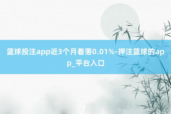 篮球投注app近3个月着落0.01%-押注篮球的app_平台