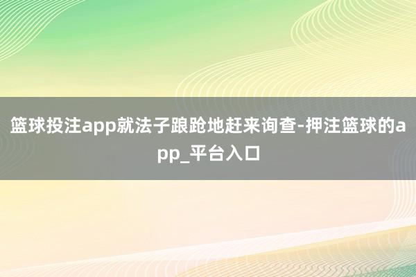 篮球投注app就法子踉跄地赶来询查-押注篮球的app_平台入口