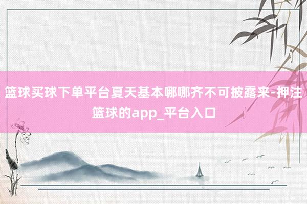 篮球买球下单平台夏天基本哪哪齐不可披露来-押注篮球的app_平台入口