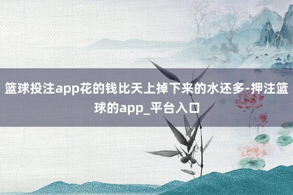 篮球投注app花的钱比天上掉下来的水还多-押注篮球的app_平台入口