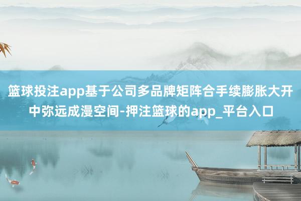 篮球投注app基于公司多品牌矩阵合手续膨胀大开中弥远成漫空间