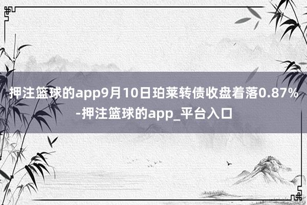 押注篮球的app9月10日珀莱转债收盘着落0.87%-押注篮球的app_平台入口