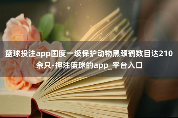 篮球投注app国度一级保护动物黑颈鹤数目达210余只-押注篮
