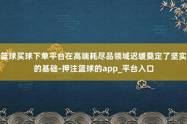 篮球买球下单平台在高端耗尽品领域迟缓奠定了坚实的基础-押注篮